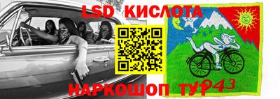 гашик Боровичи