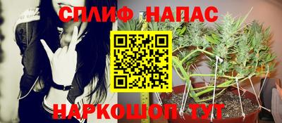 гашик Боровичи