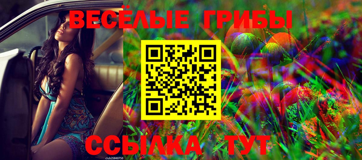 Псилоцибиновые грибы Cubensis Батайск