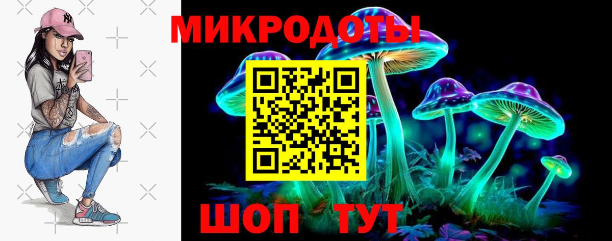 Батайск  Галлюциногенные грибы Psilocybine cubensis  Вход с VPN 